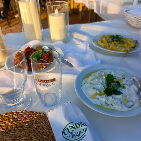 Hotel Cunda Asiyan Ayvalı