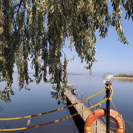 Cunda Asiyan Ayvalı